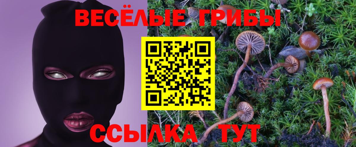 Галлюциногенные грибы мухоморы  Вход с VPN  Псилоцибиновые грибы прущие грибы  Псков 